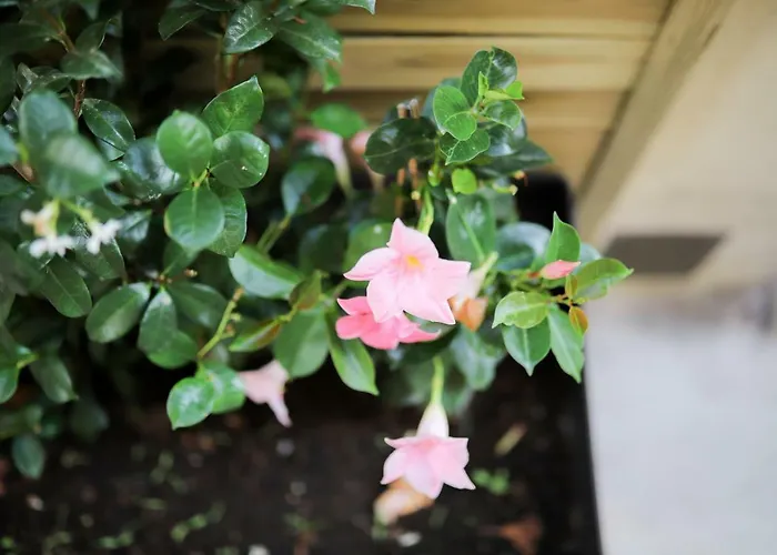 Casino Iii דירה *